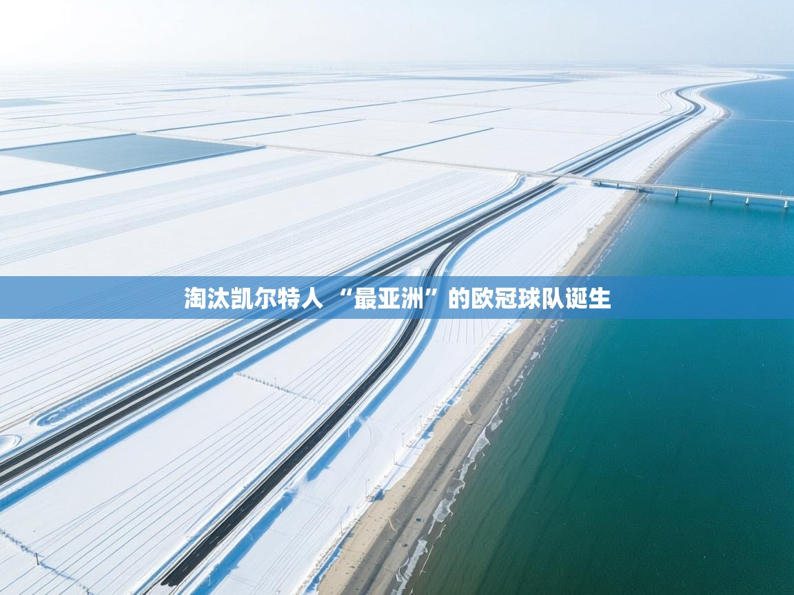 爱游戏影视-淘汰凯尔特人 “最亚洲”的欧冠球队诞生  第1张