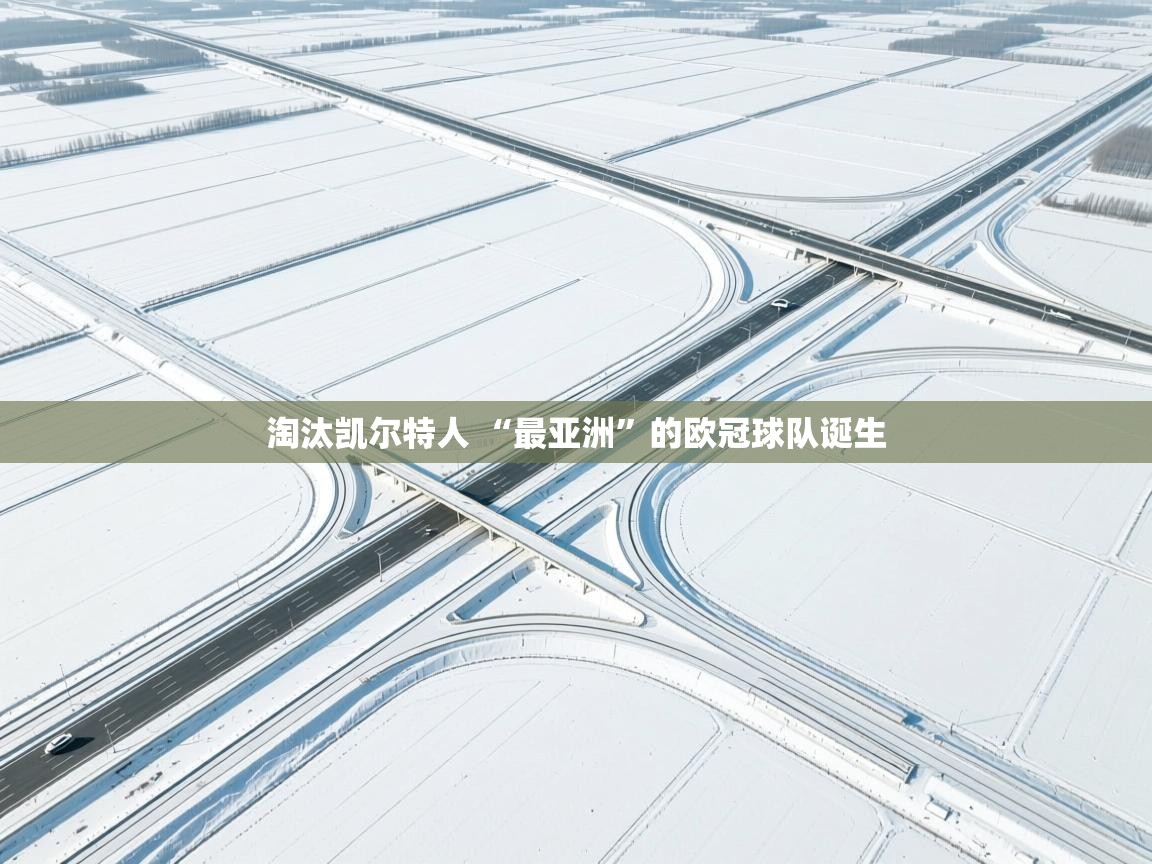 爱游戏影视-淘汰凯尔特人 “最亚洲”的欧冠球队诞生  第2张