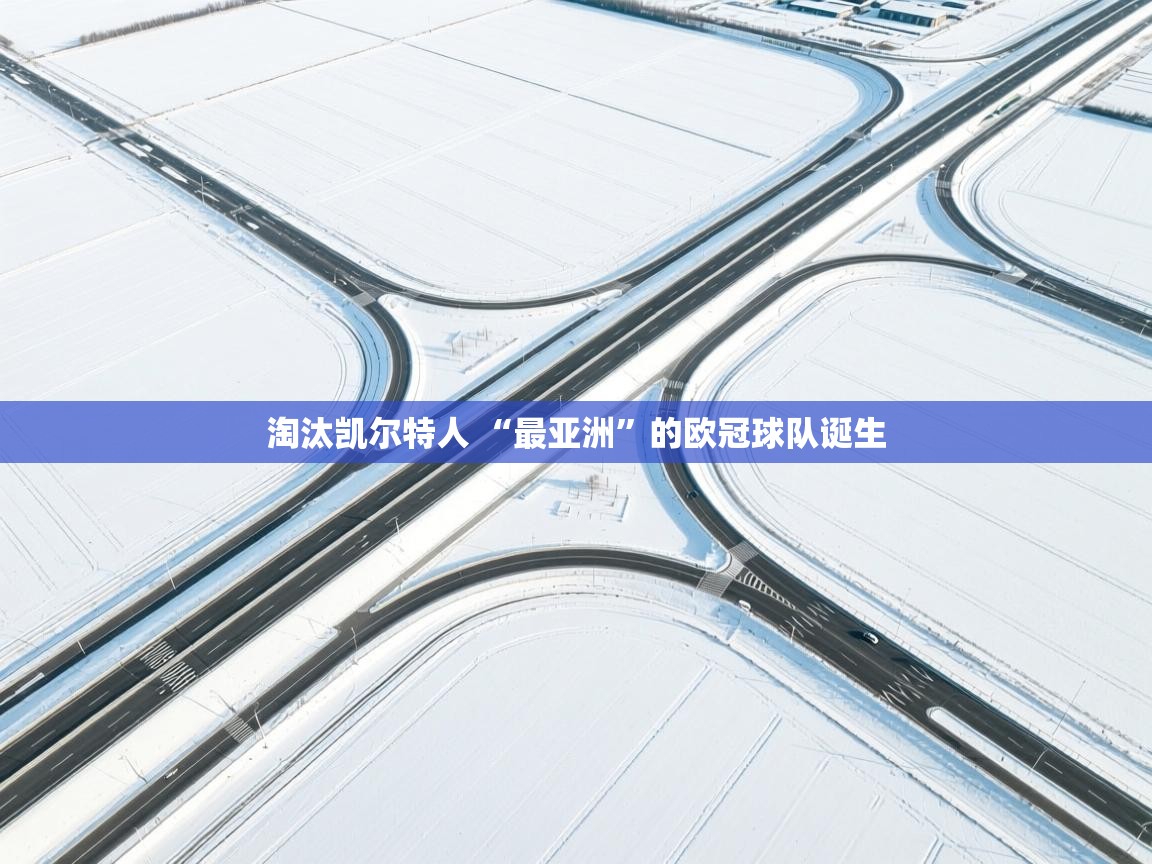 爱游戏影视-淘汰凯尔特人 “最亚洲”的欧冠球队诞生  第4张