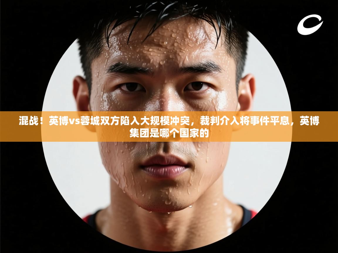 爱游戏体育娱乐-混战！英博vs蓉城双方陷入大规模冲突，裁判介入将事件平息，英博集团是哪个国家的  第3张