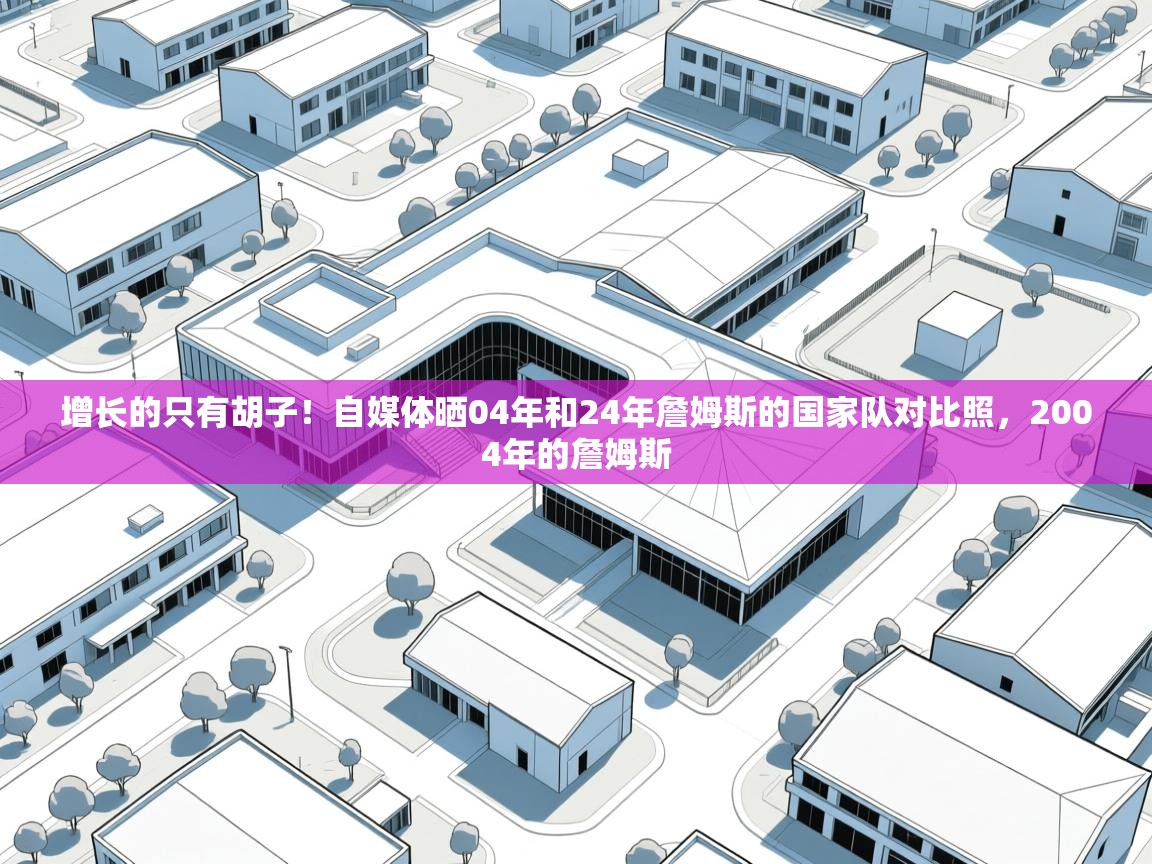 爱游戏体育全站入口-增长的只有胡子!自媒体晒04年和24年詹姆斯的国家队对比照,2004年的詹姆斯 第1张