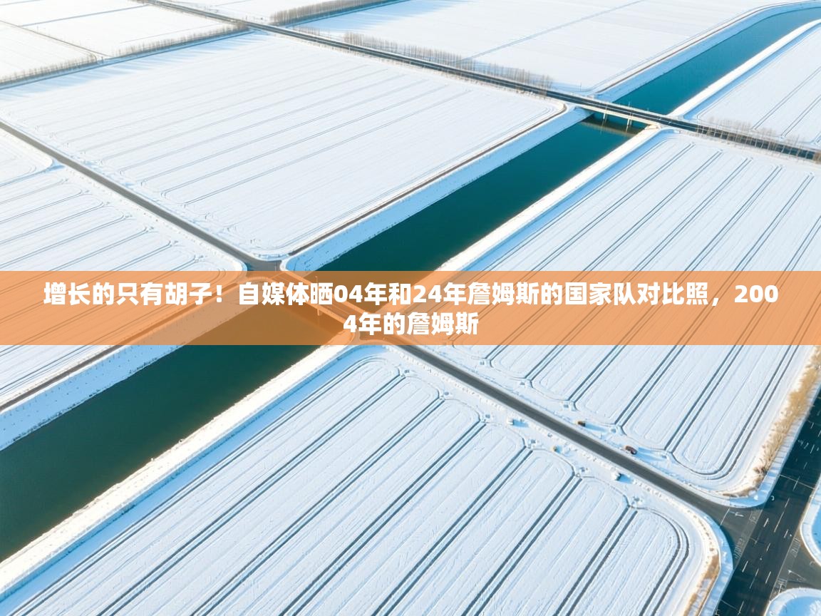 爱游戏体育全站入口-增长的只有胡子!自媒体晒04年和24年詹姆斯的国家队对比照,2004年的詹姆斯 第3张