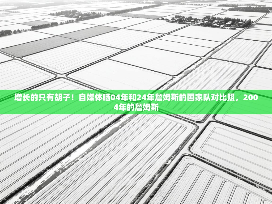 爱游戏体育全站入口-增长的只有胡子!自媒体晒04年和24年詹姆斯的国家队对比照,2004年的詹姆斯 第4张