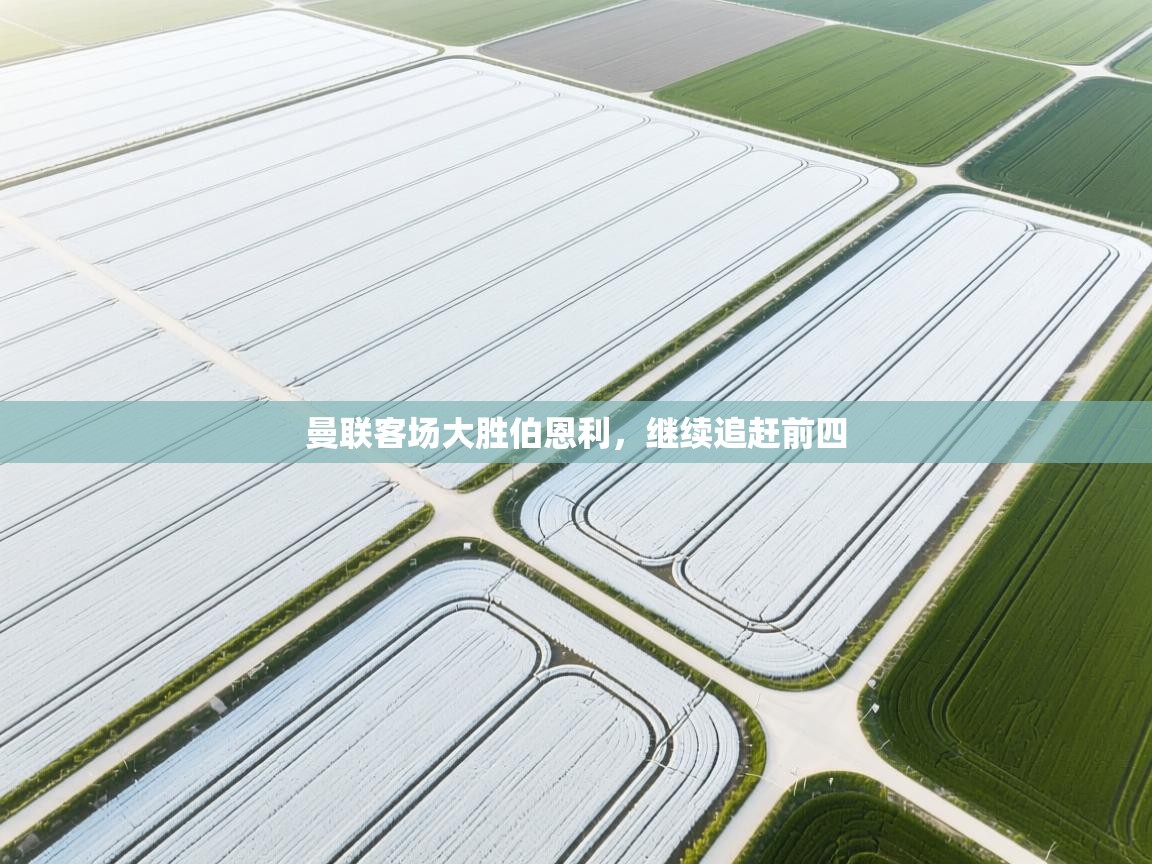 爱游体育直播app-曼联客场大胜伯恩利，继续追赶前四  第2张