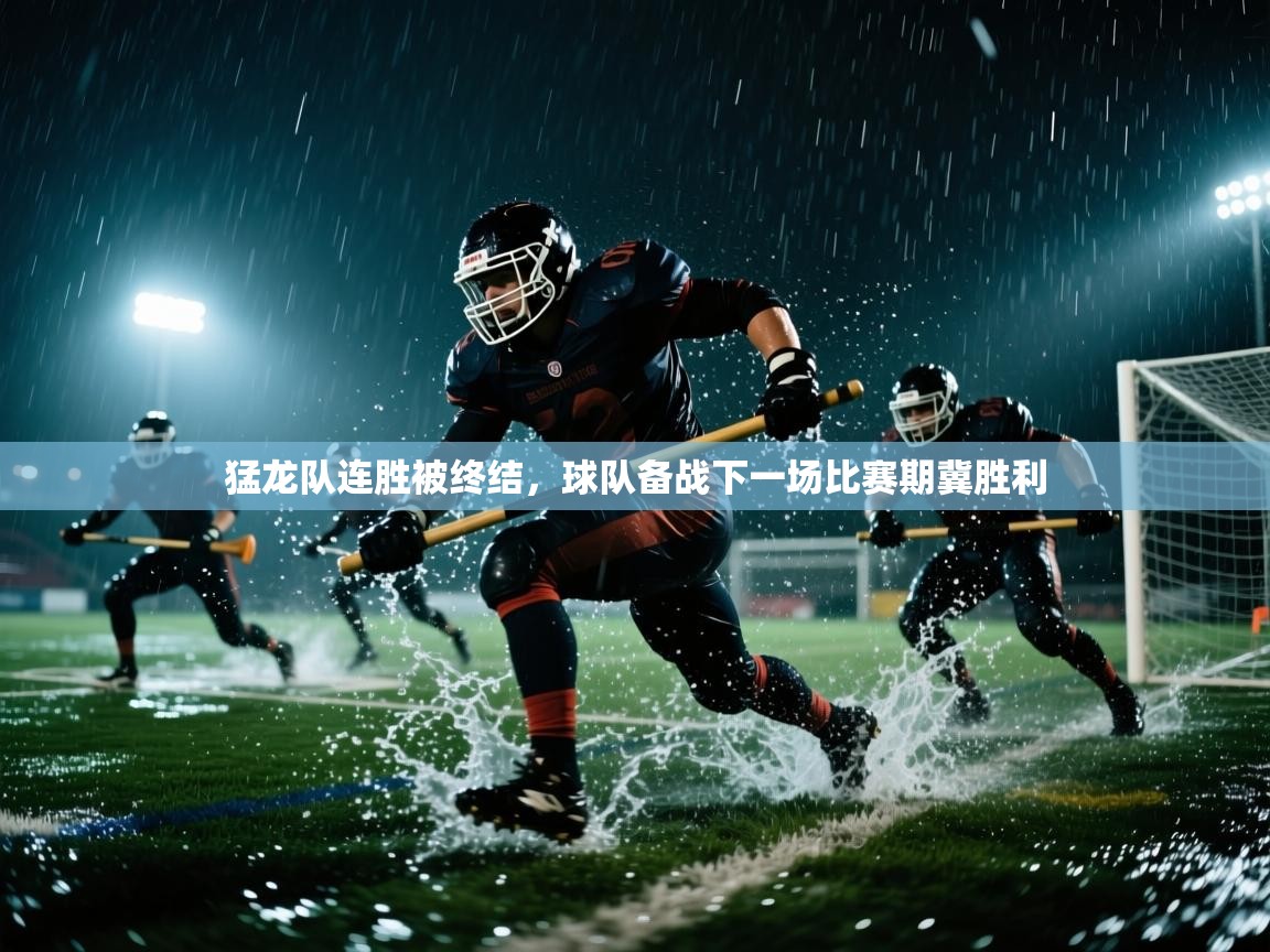 爱游戏影视-猛龙队连胜被终结，球队备战下一场比赛期冀胜利  第1张