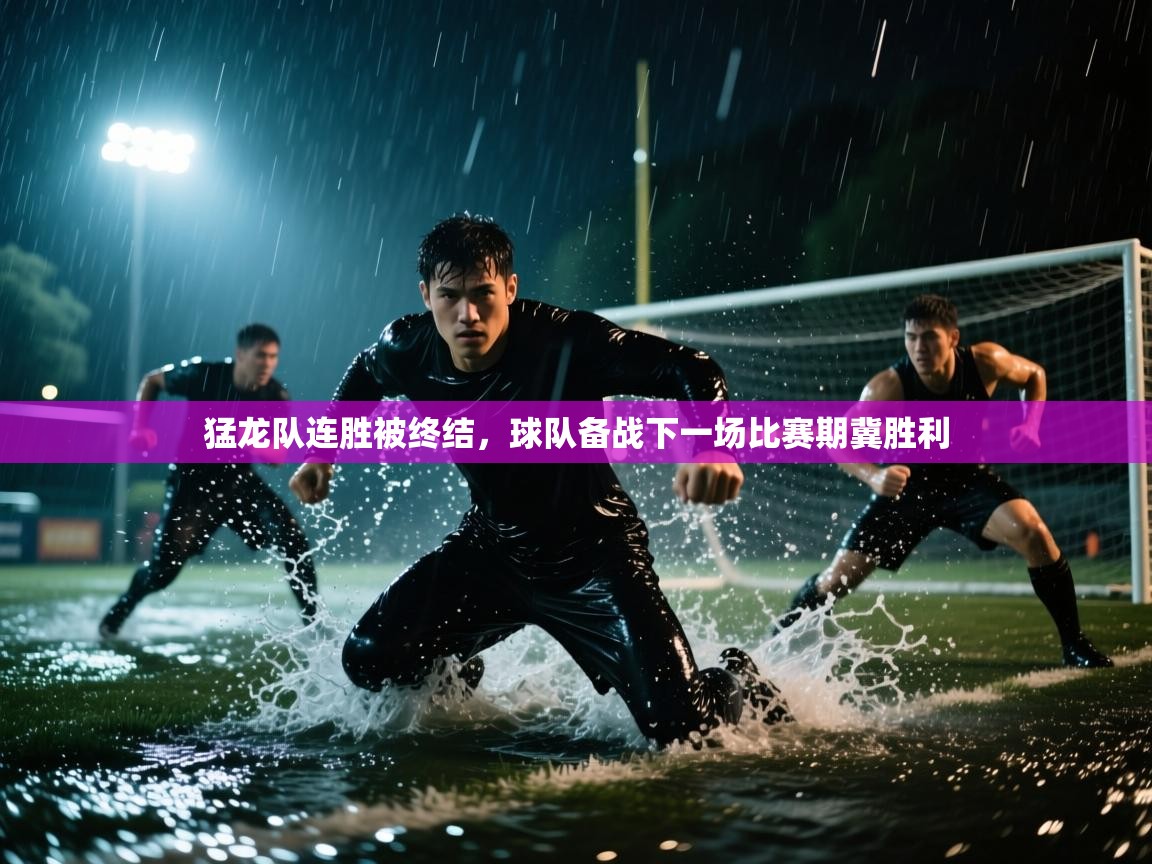 爱游戏影视-猛龙队连胜被终结，球队备战下一场比赛期冀胜利  第2张