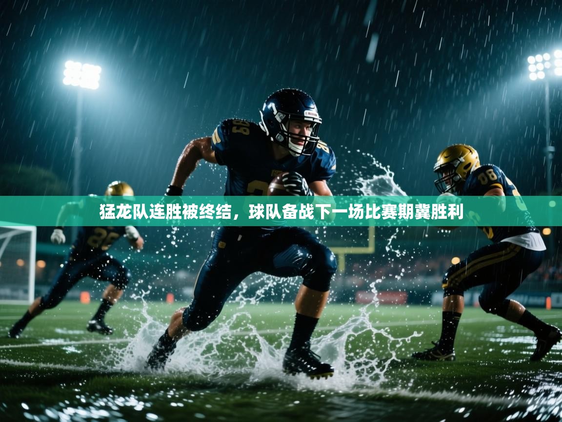 爱游戏影视-猛龙队连胜被终结，球队备战下一场比赛期冀胜利  第3张