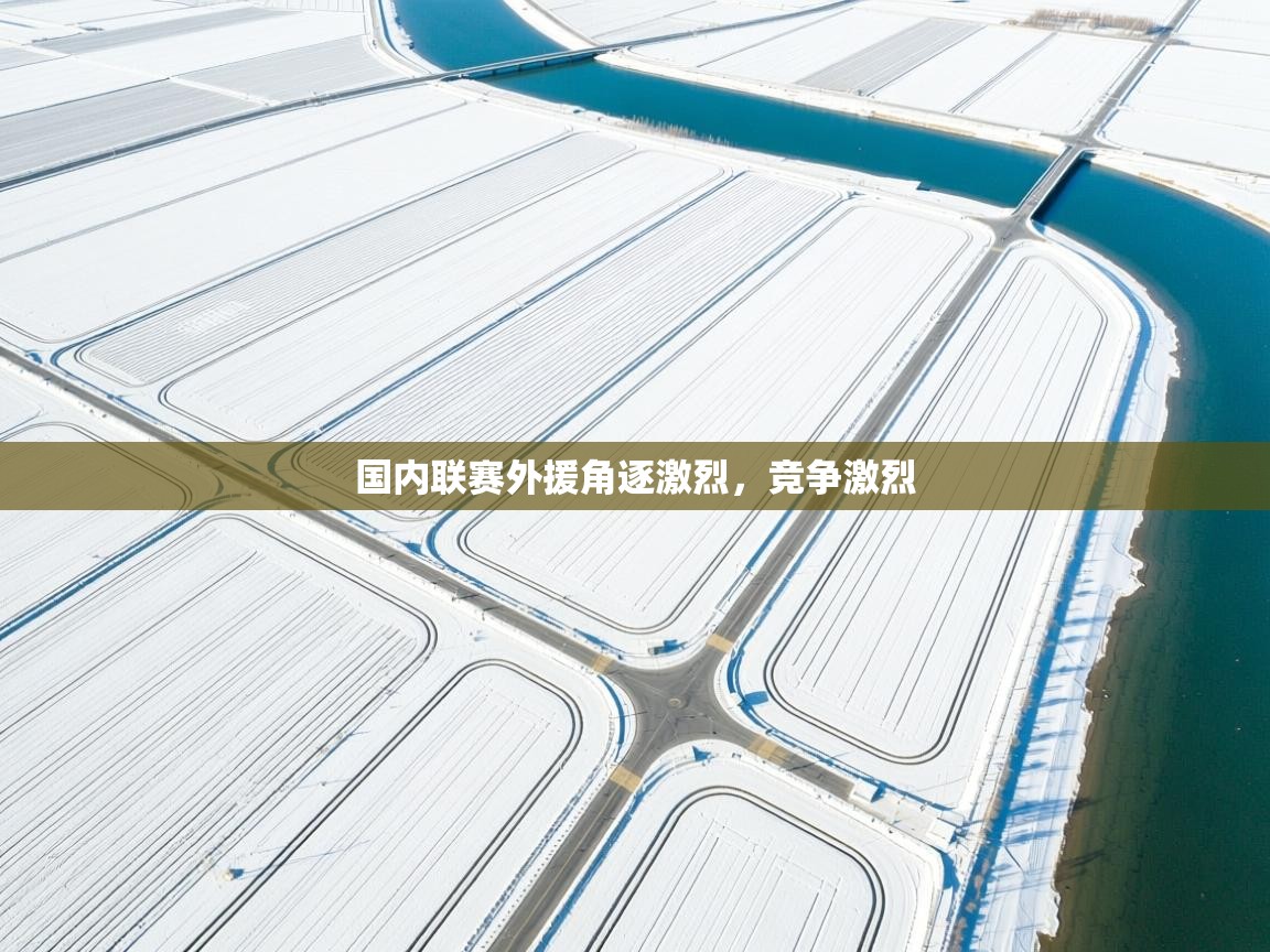 爱游戏体育下载-国内联赛外援角逐激烈，竞争激烈  第1张