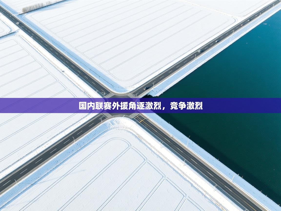 爱游戏体育下载-国内联赛外援角逐激烈，竞争激烈  第2张