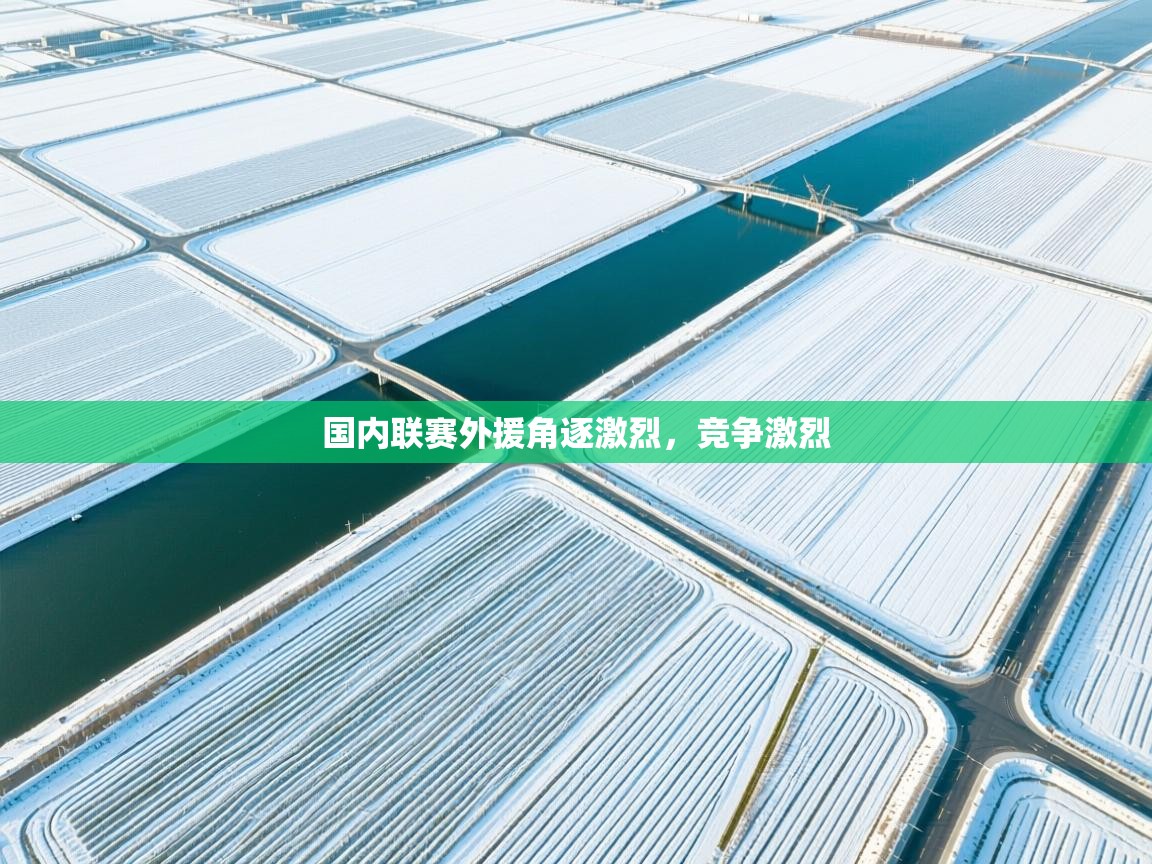 爱游戏体育下载-国内联赛外援角逐激烈，竞争激烈  第4张