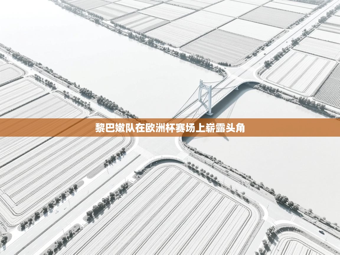 爱游戏体育app-黎巴嫩队在欧洲杯赛场上崭露头角  第3张