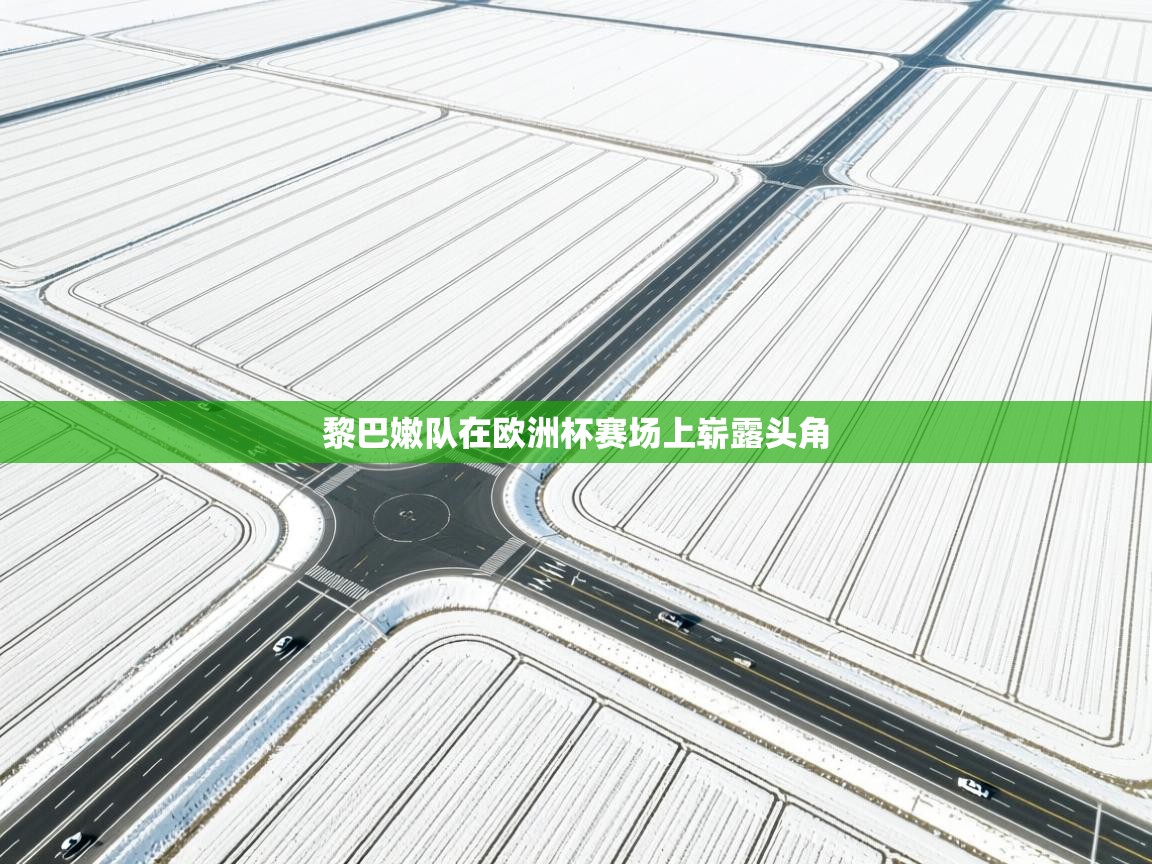 爱游戏体育app-黎巴嫩队在欧洲杯赛场上崭露头角  第4张