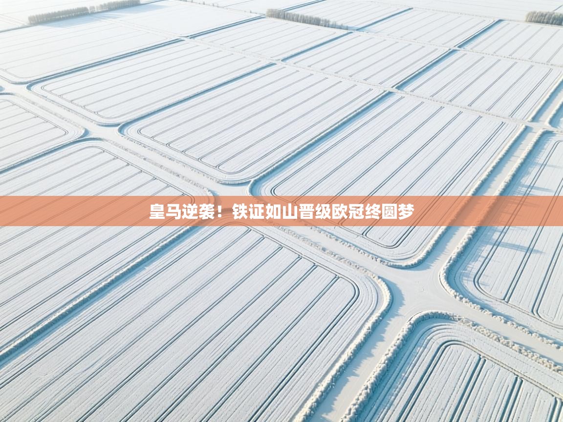 爱游戏体育官网app-皇马逆袭!铁证如山晋级欧冠终圆梦 第4张