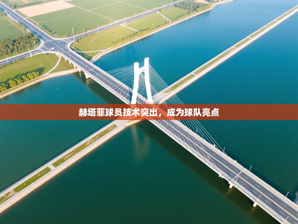 爱游戏体育直播-赫塔菲球员技术突出,成为球队亮点 第2张