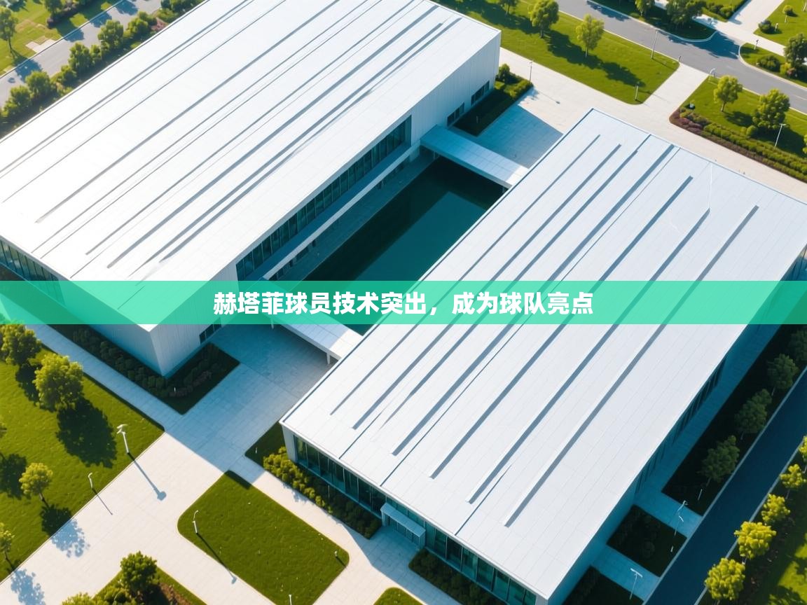 爱游戏体育直播-赫塔菲球员技术突出,成为球队亮点 第3张